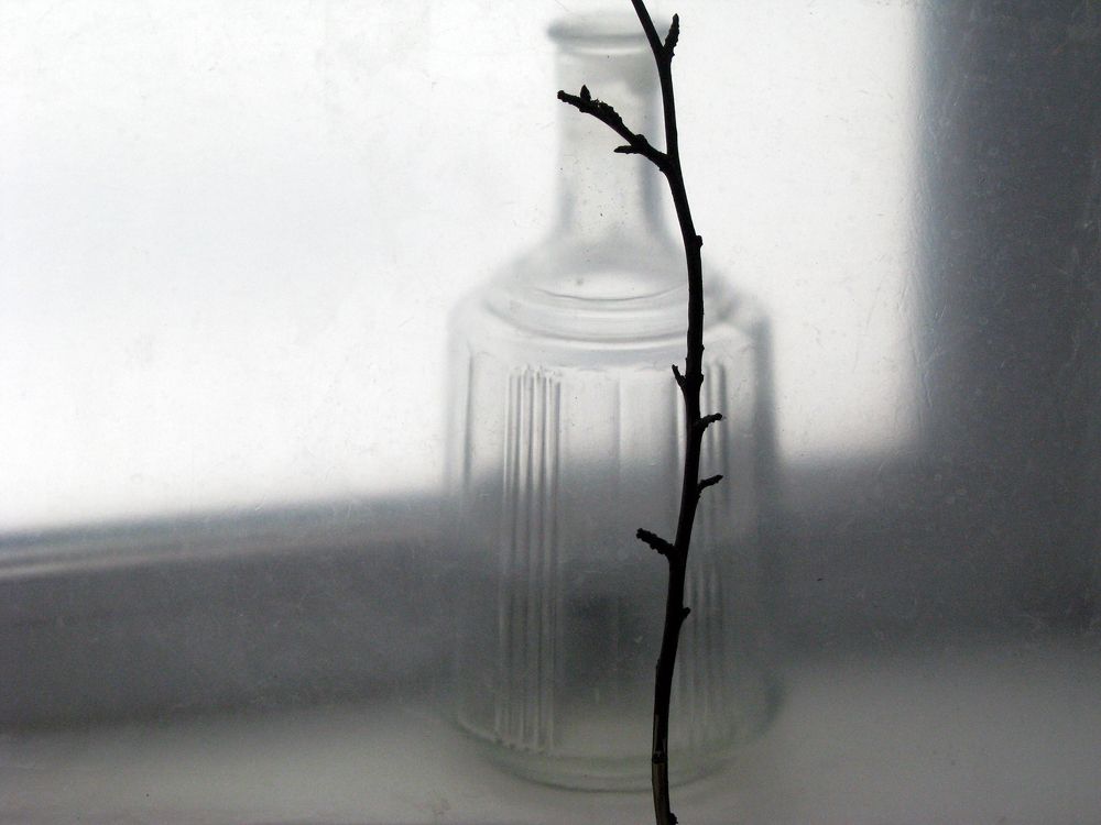 Photograph by Лада Кляузина