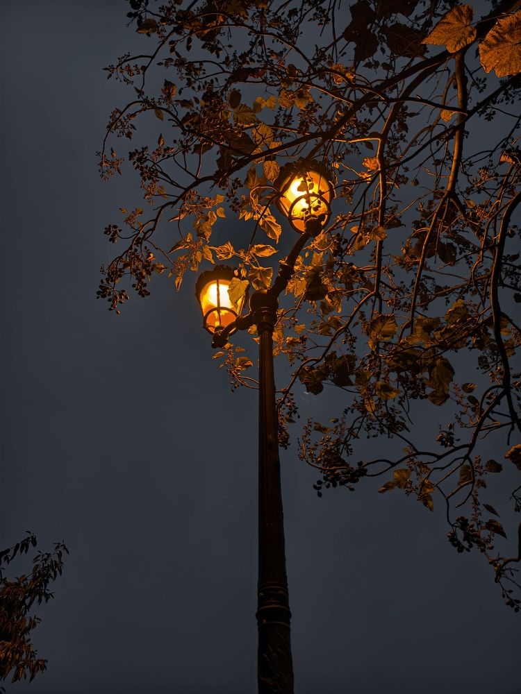 Photograph by Светлана Мишенина