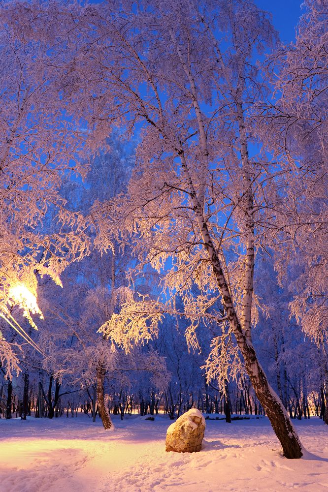 Фотография автора Кухта Мария