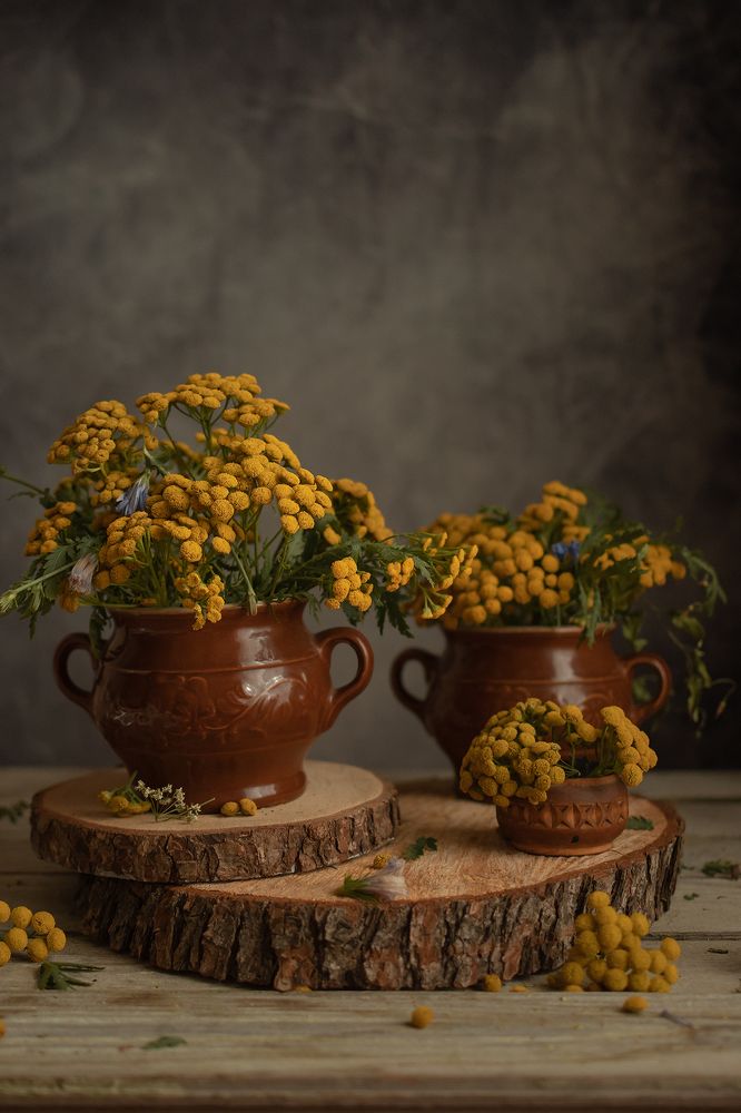 Photograph by Ирина Фуфина