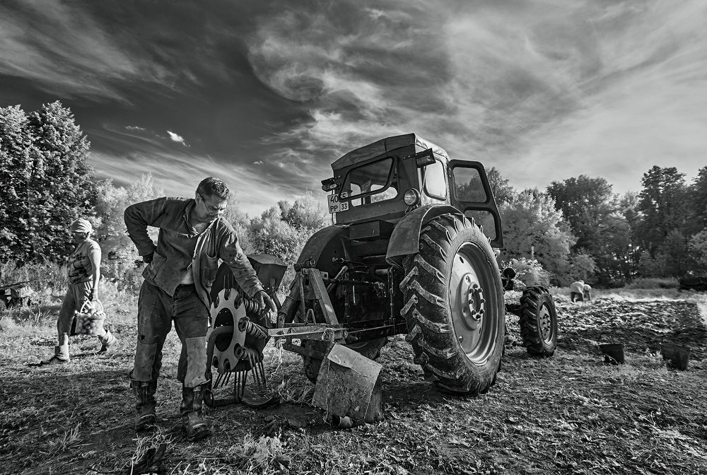 Небось картошку все мы уважаем...