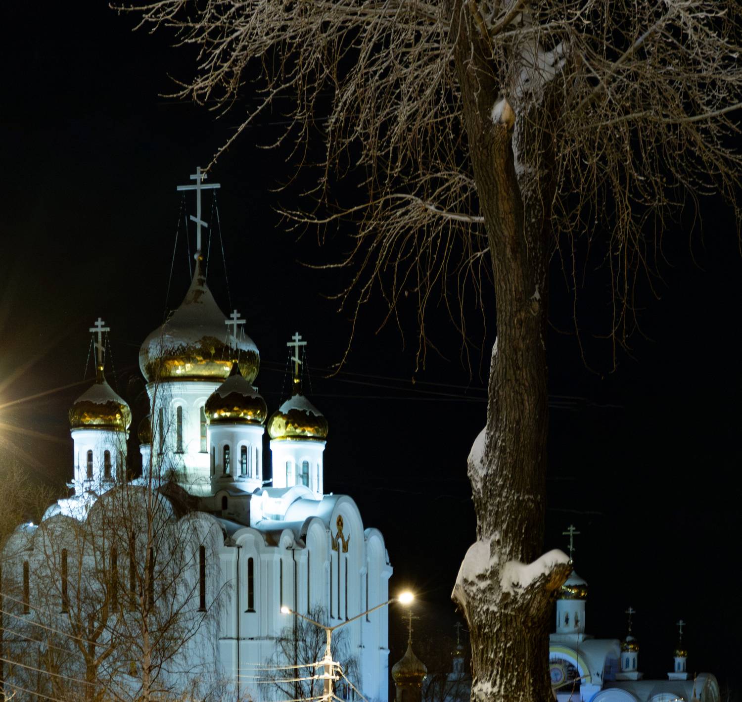 Фотография #11654462