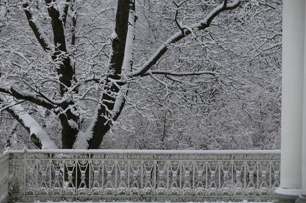 Photograph by Унку Юрий