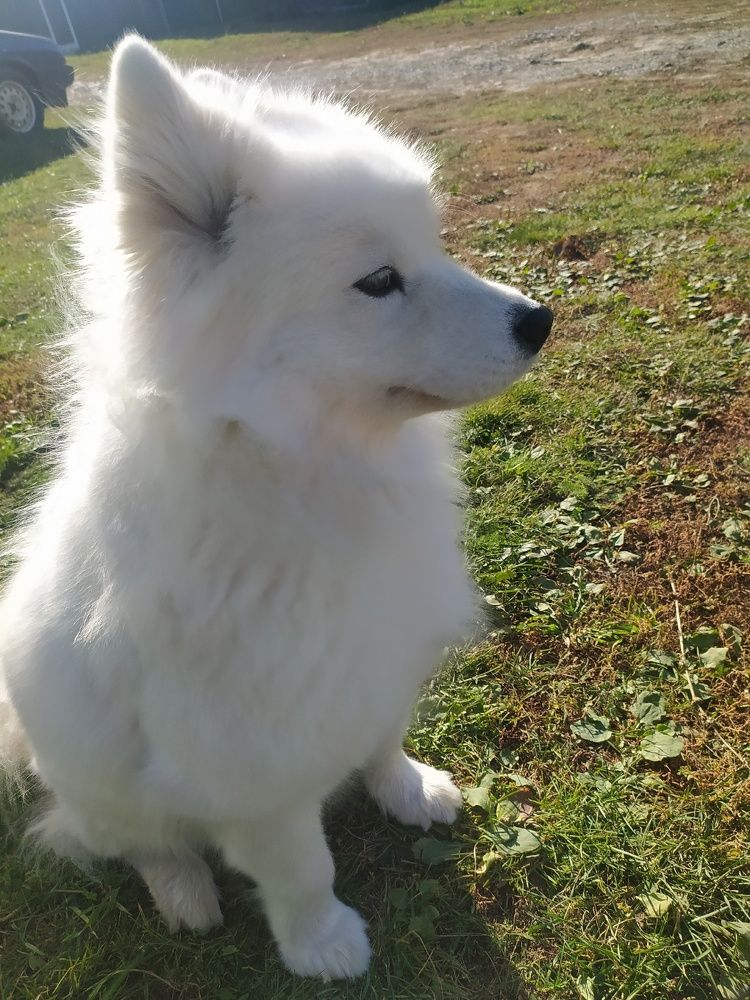 Photograph by Юрий Гордеев