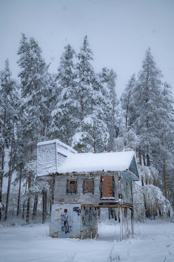 Photograph by Жданов Дмитрий