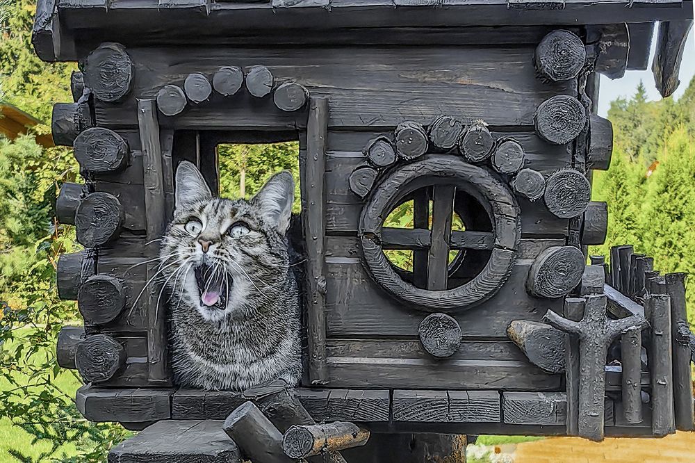 Photograph by Андрей К. Белов