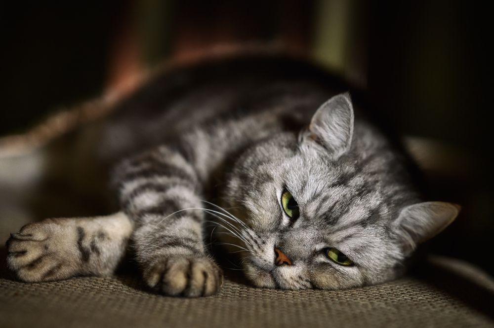 Photograph by Нуждин Андрей