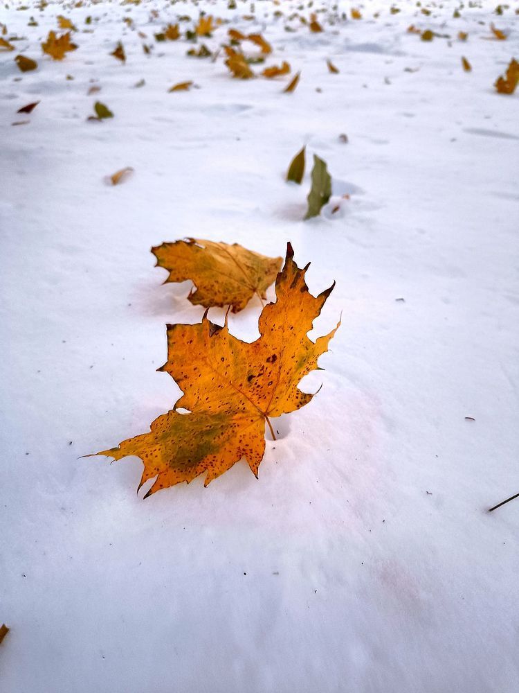 Photograph by Юрий Варюхин