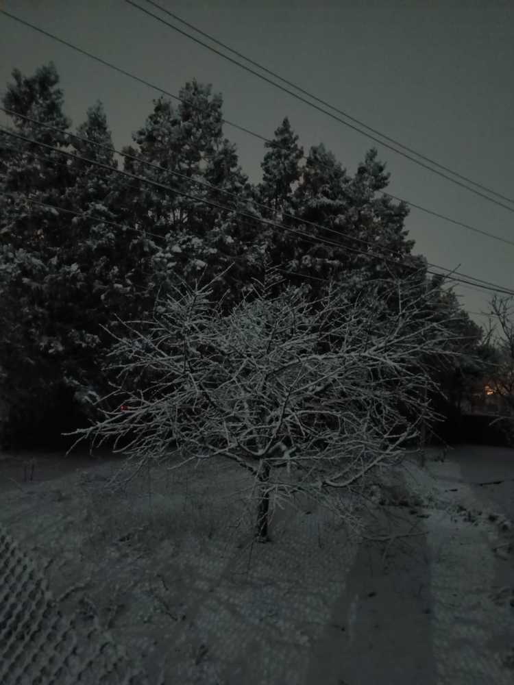 Photograph by Данил Костин