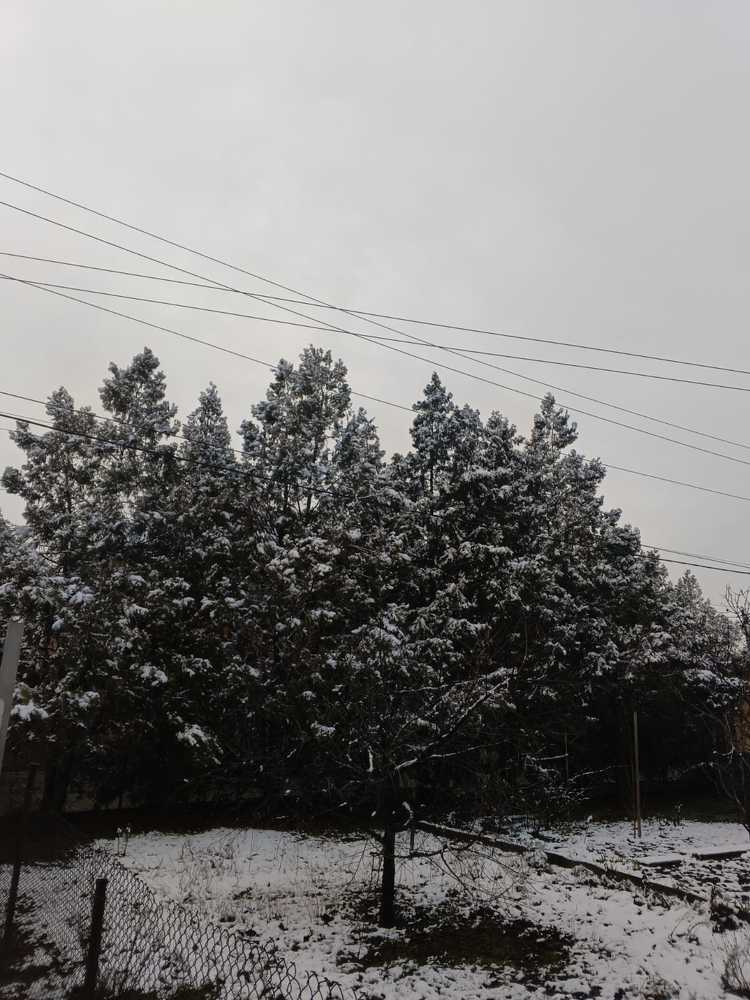 Photograph by Данил Костин