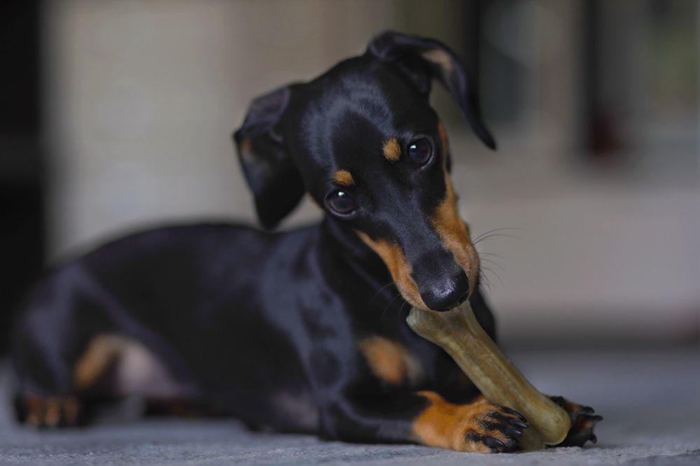 Photograph by Ирина Бескровная