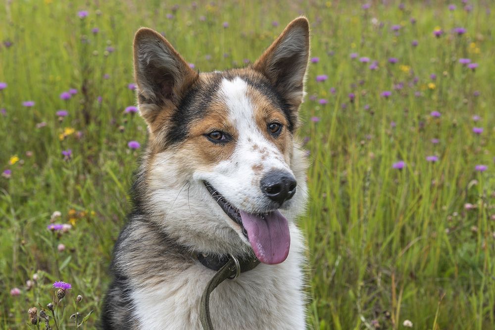 Photograph by Андрей К. Белов