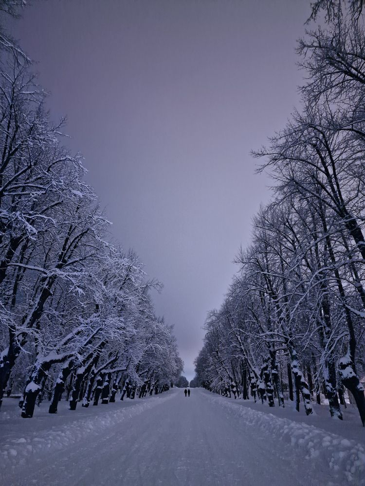 Photograph by Светлана Гордиенко