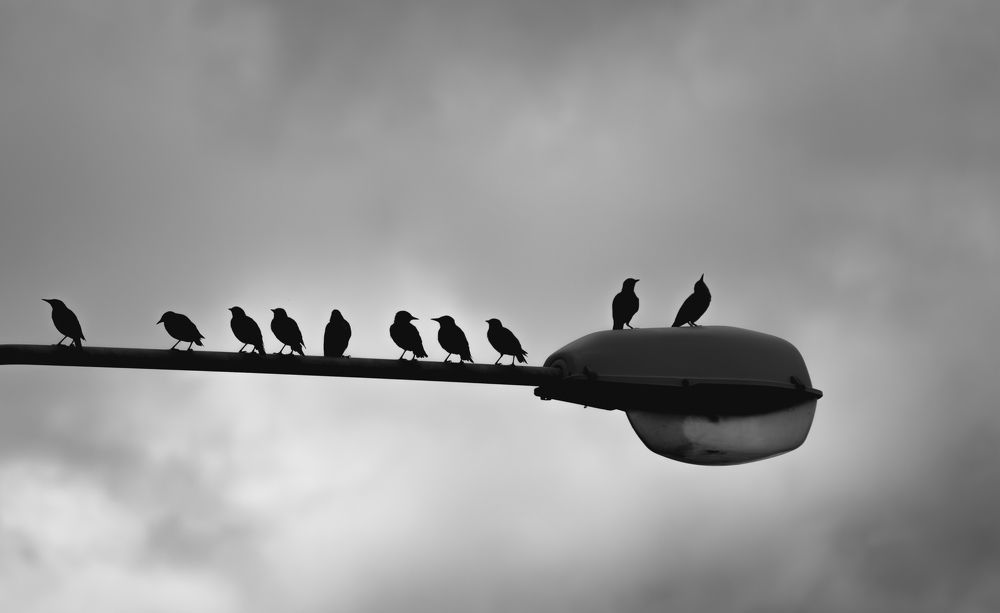 Фотография автора Алина Руденко