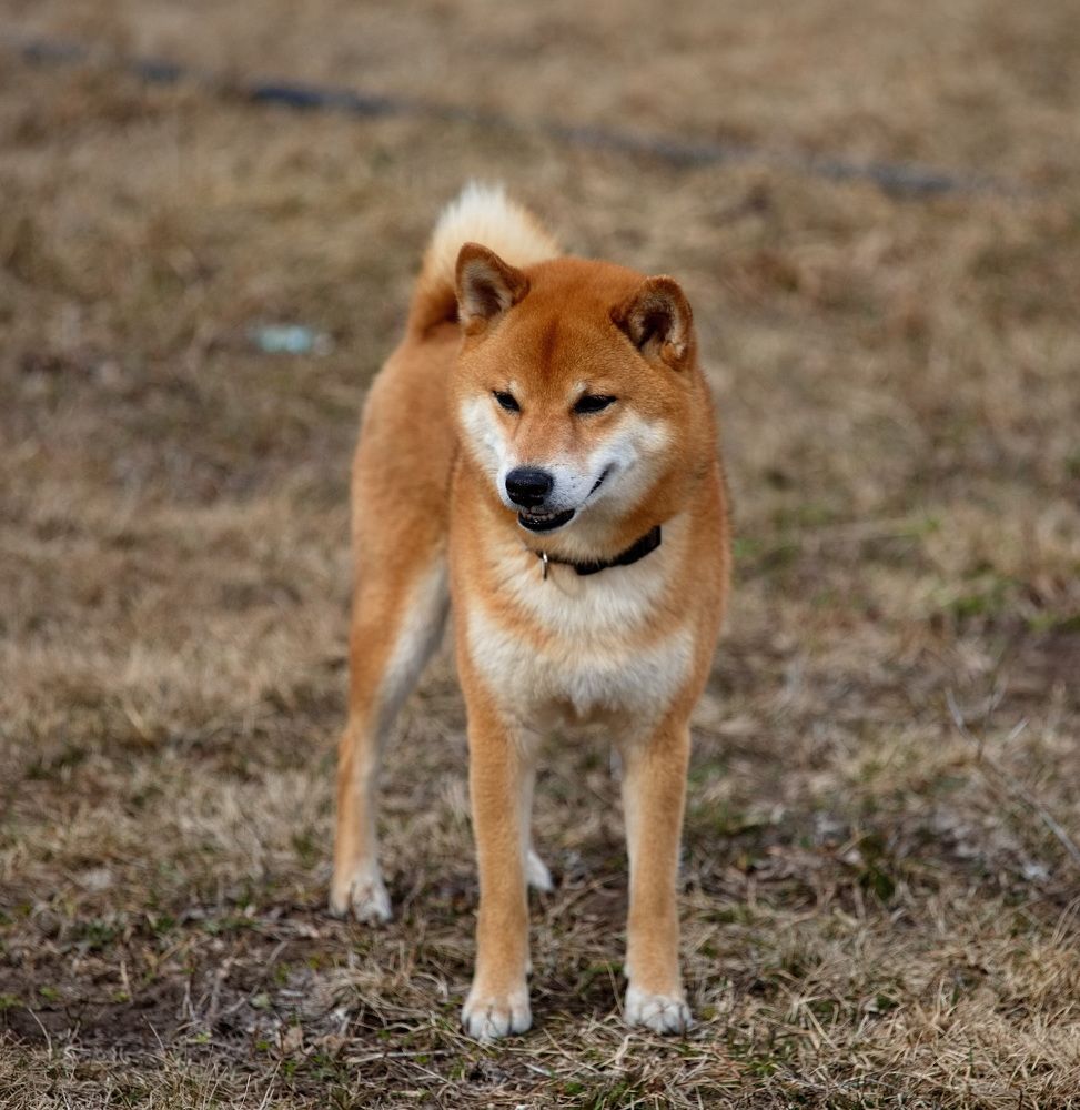 Photograph by Алексей Хазов