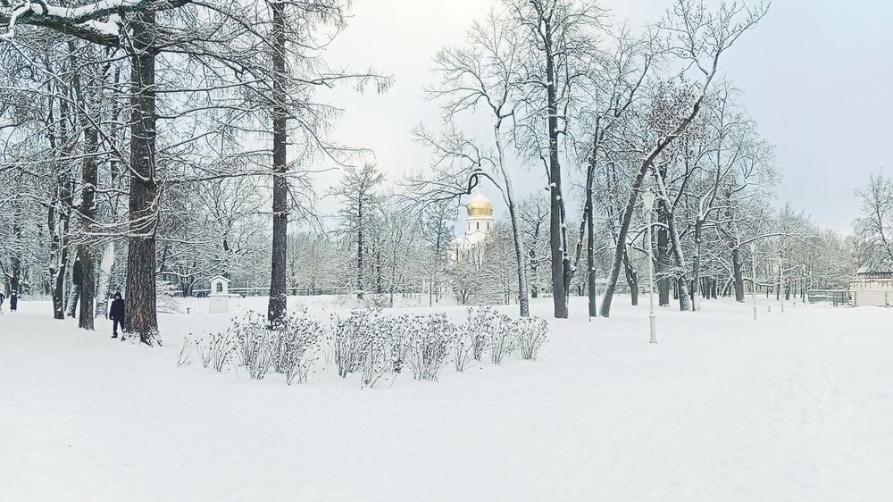 Photograph by Алексей