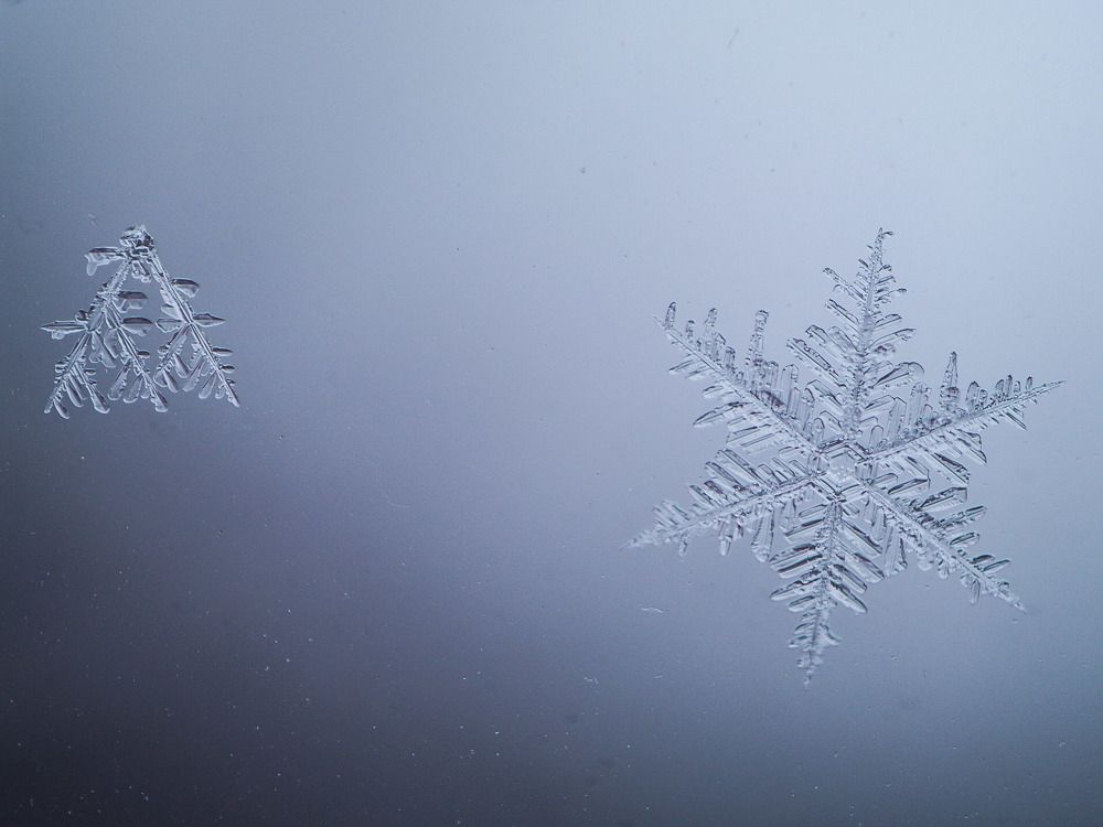 Photograph by Наталья