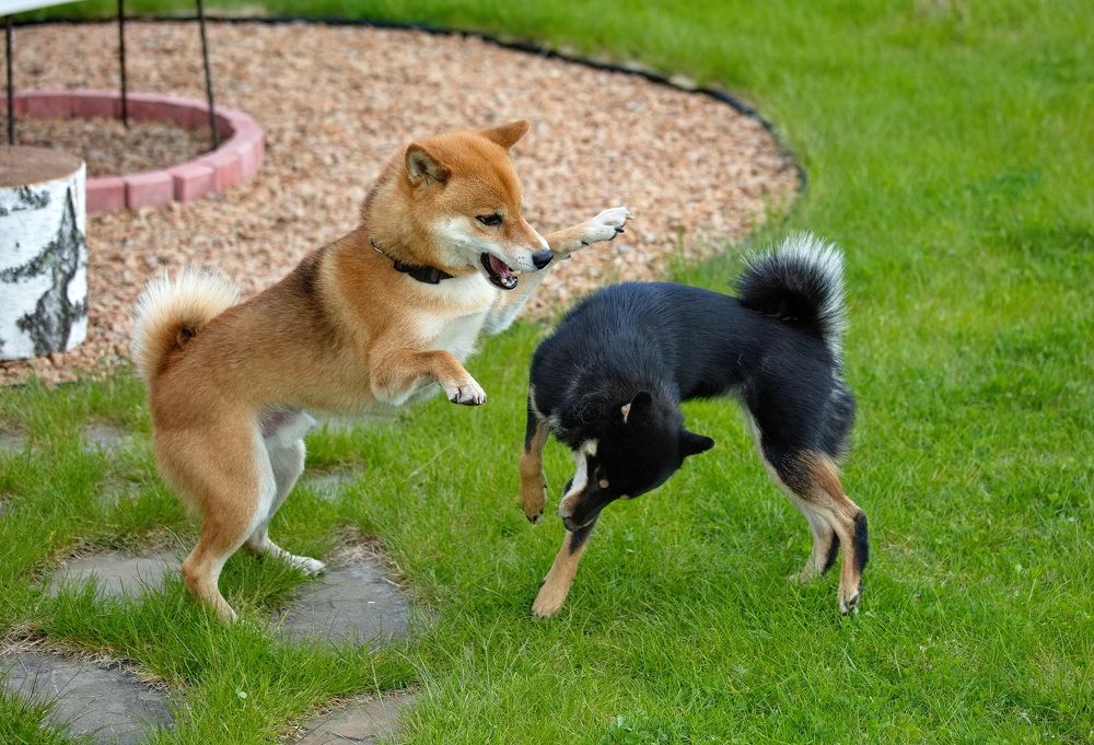 Photograph by Алексей Хазов