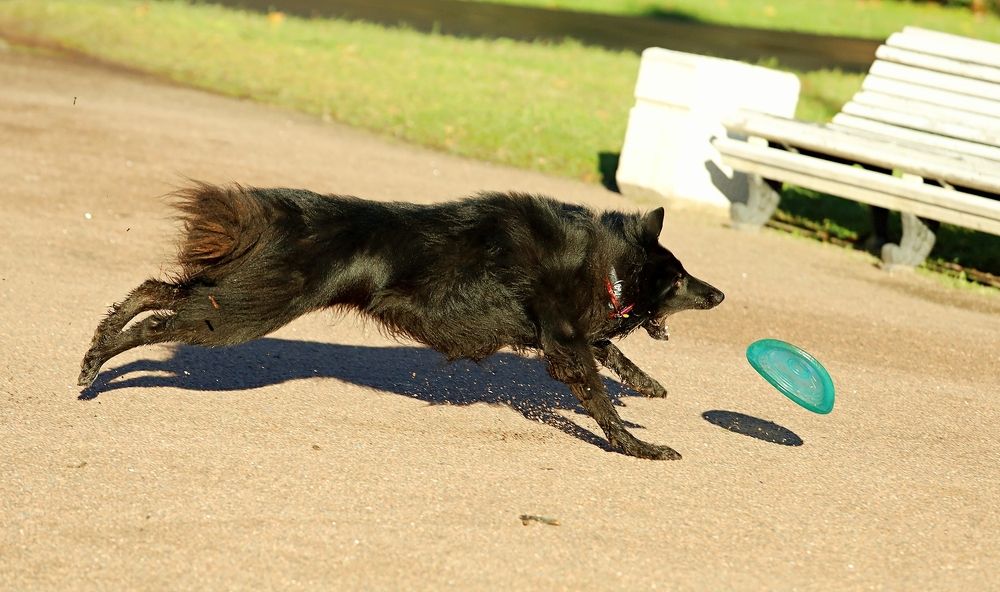 Photograph by Татьяна Слесарева
