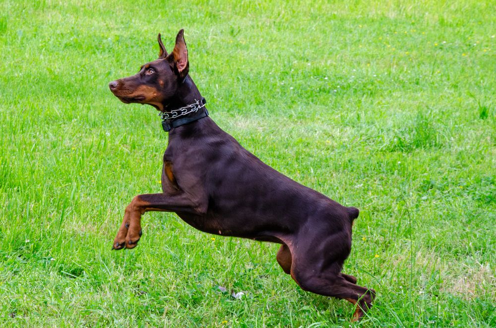 Photograph by Oksana Kuzmina