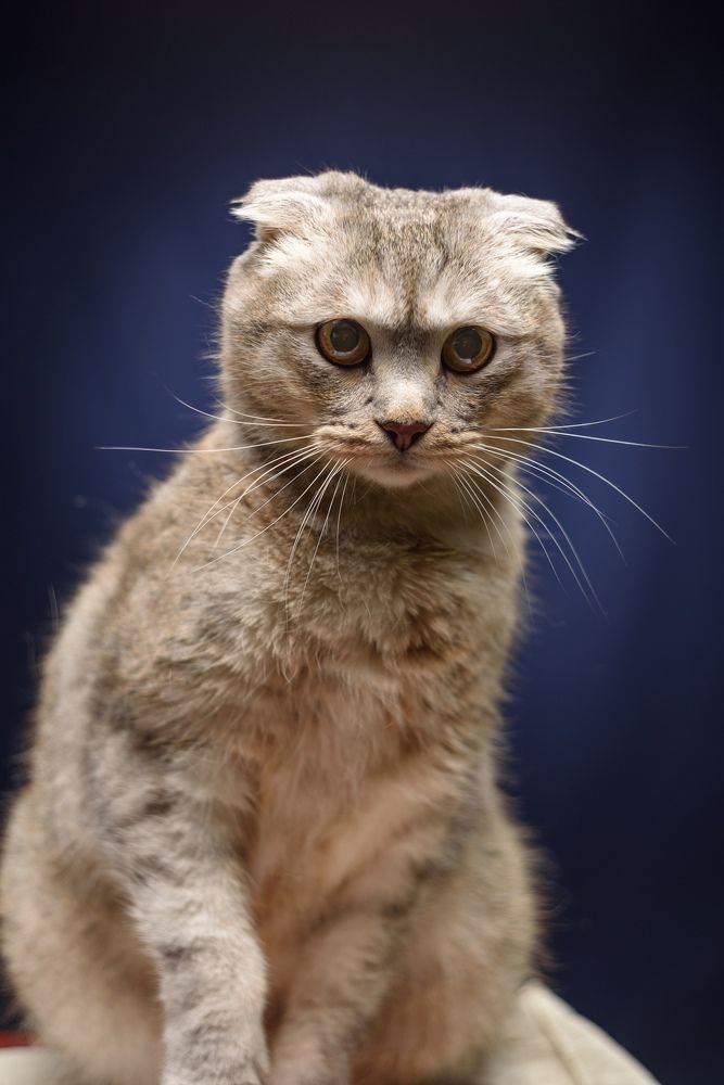 Photograph by Нуждин Андрей