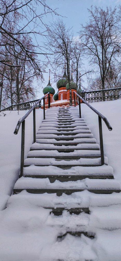 Photograph by Елена Бородулина