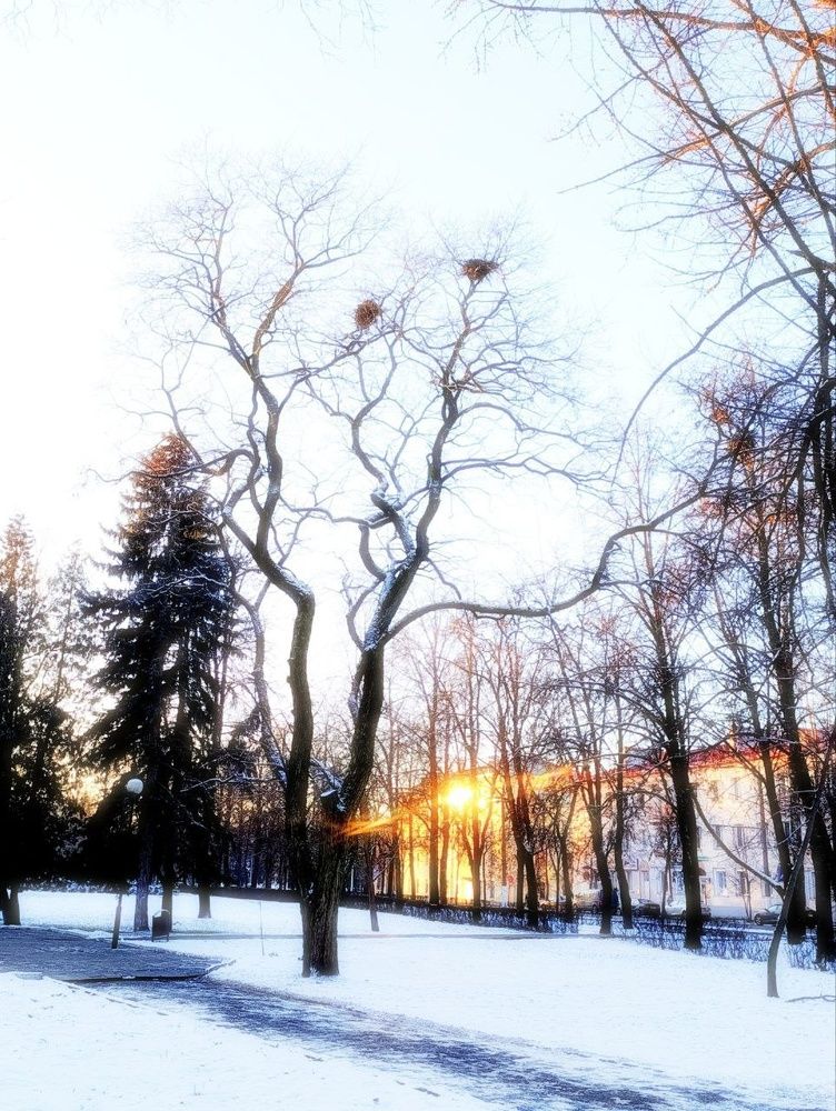 Photograph by Мария Тафеенко