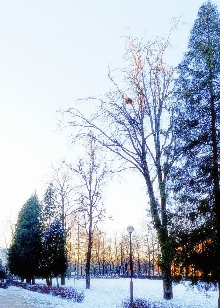 Photograph by Мария Тафеенко