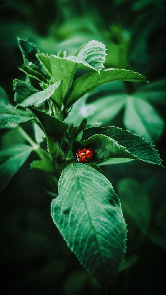 Photograph by Андрей Летов