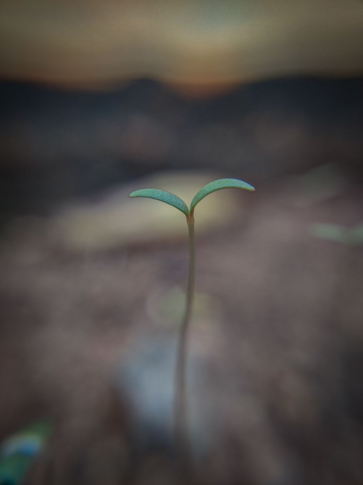 Photograph by Vijayakumar