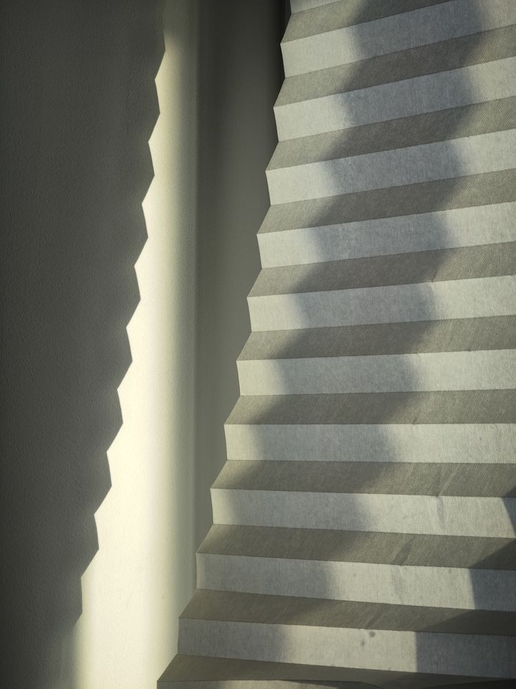 Photo #11654904