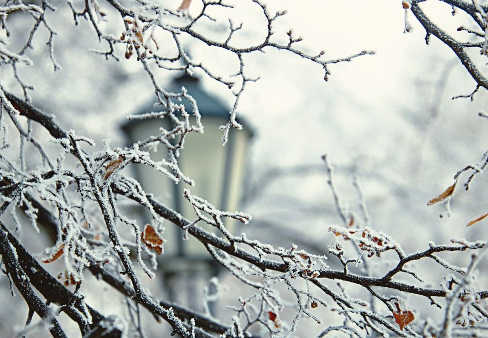 Photograph by Irina Radzinskaya