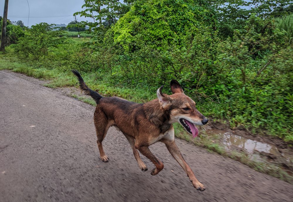 Photograph by Vijayakumar