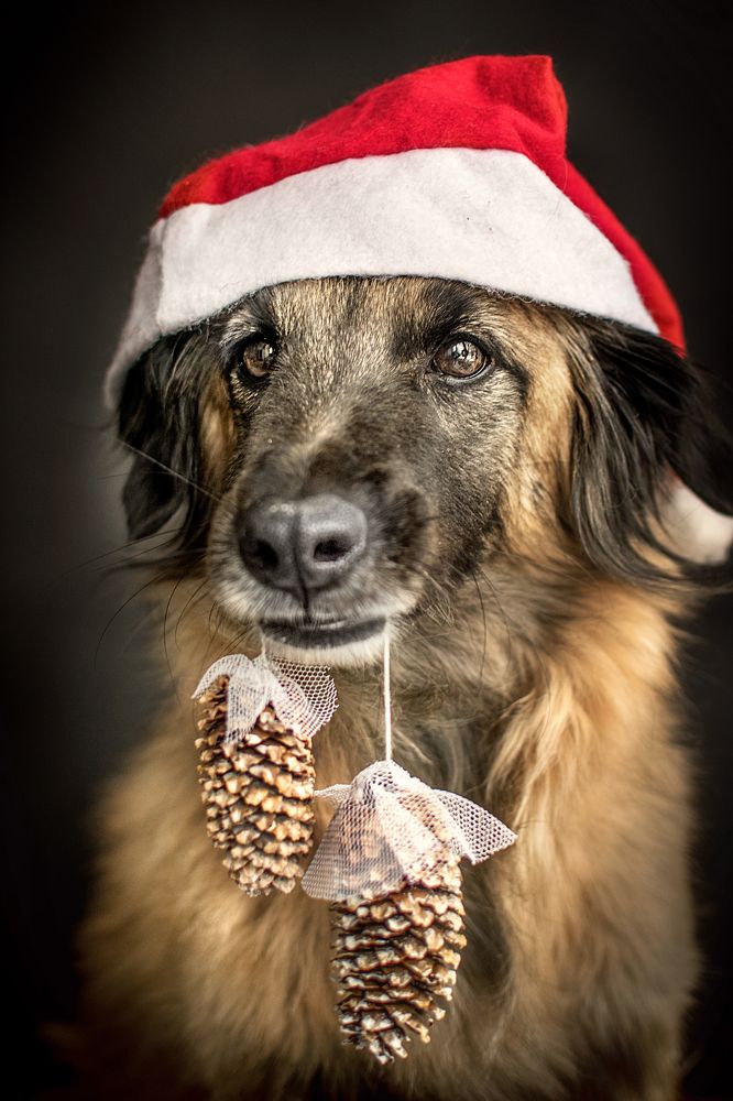 Photograph by Альфия Агзами