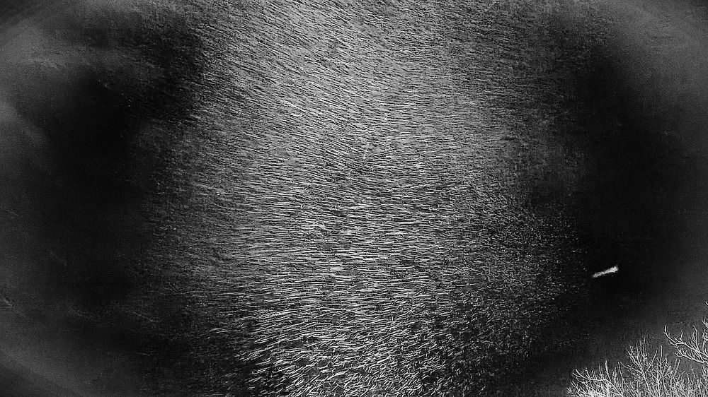 Photograph by Nikita Ostarkov