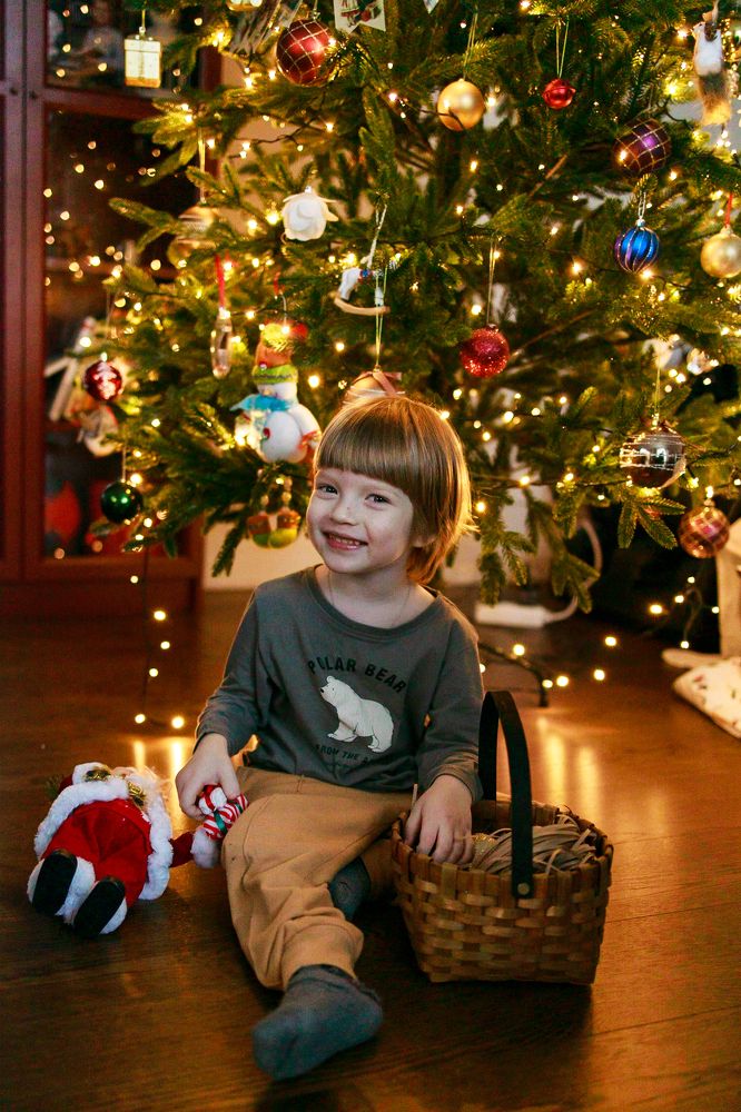 Фотография автора Анна Хейфиц