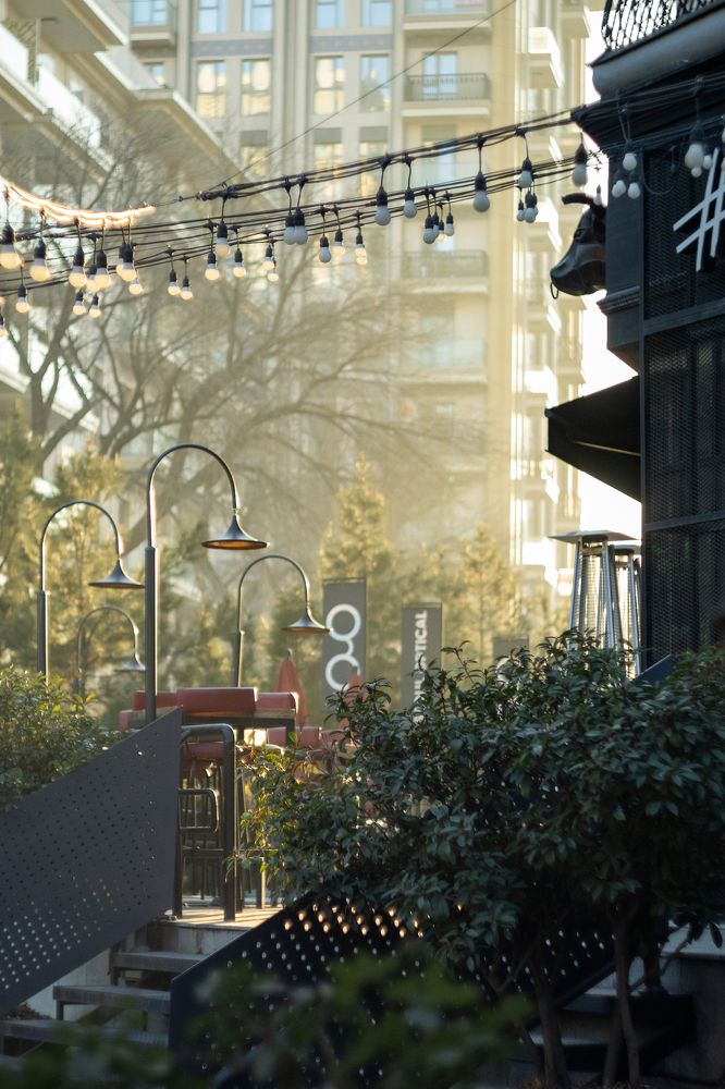 Зимний ташкентский закат