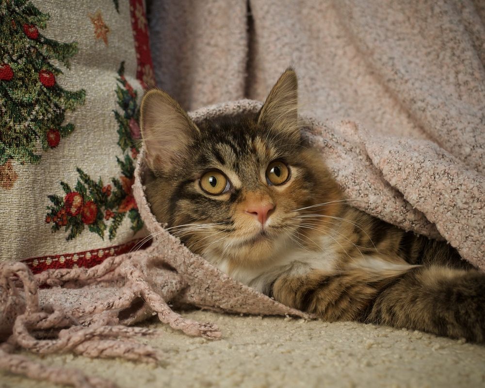 Photograph by Артемий