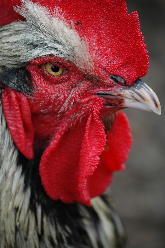 Photograph by Диана Ульянцева