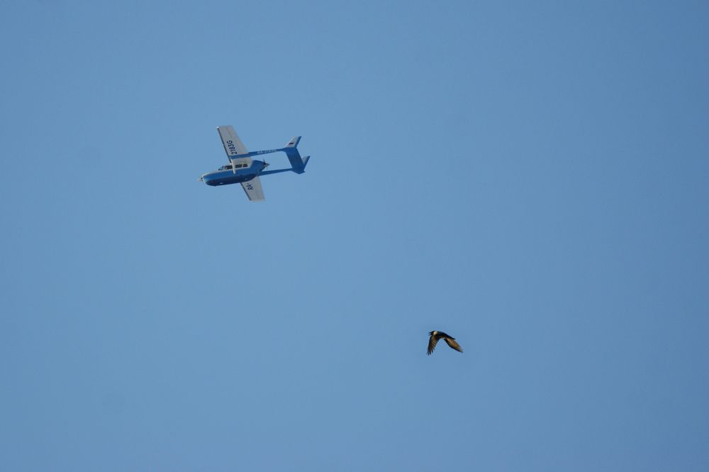 Photograph by Светлана Карнаух