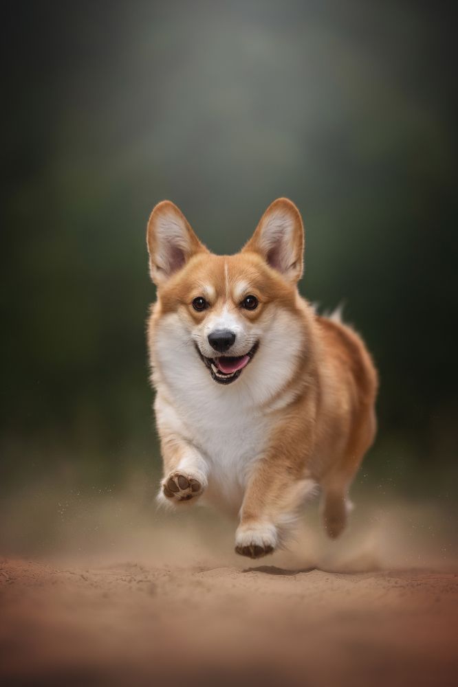 Photograph by Людмила Богуш