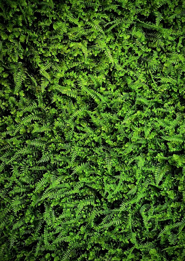 Photograph by Денис Хасанов