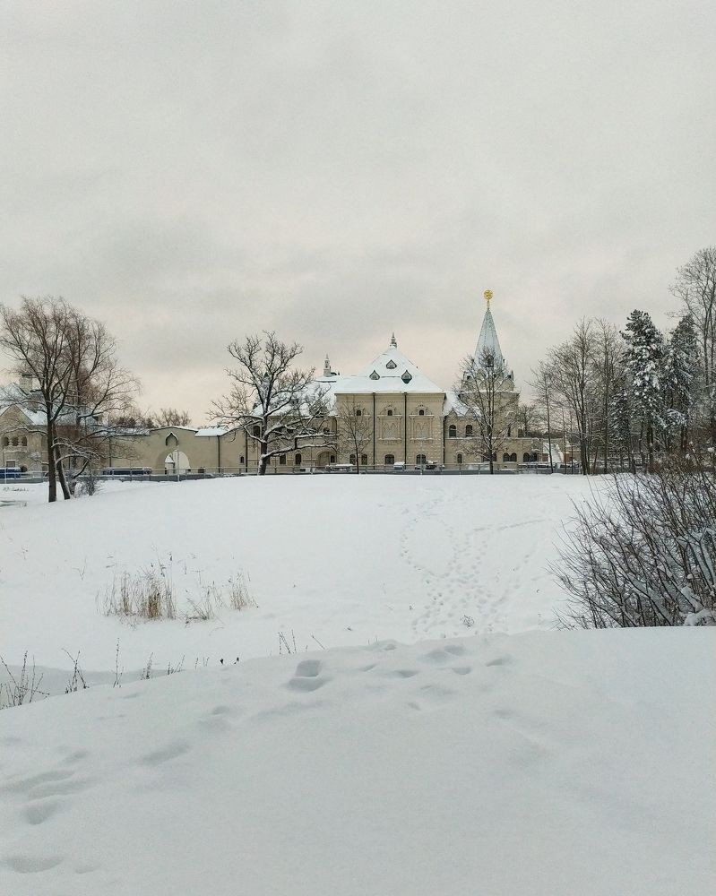 Зимой в Царском Селе.