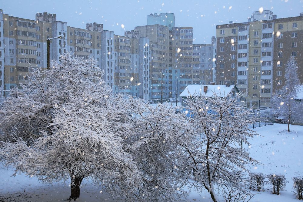 Photograph by Николай Протасеня