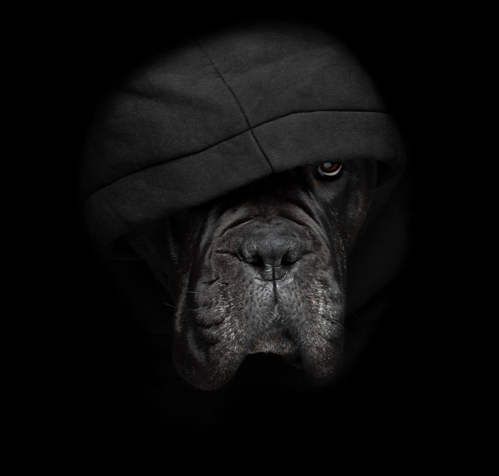 Photograph by Николай Вихтинский