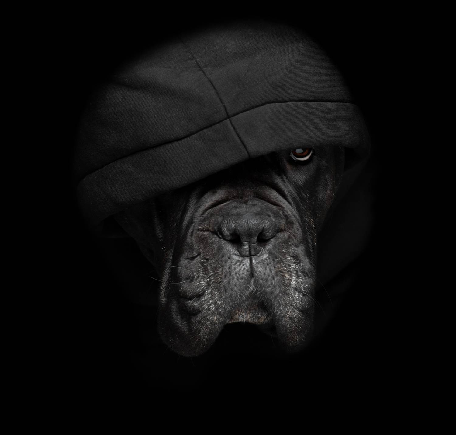 Фотография #11655021