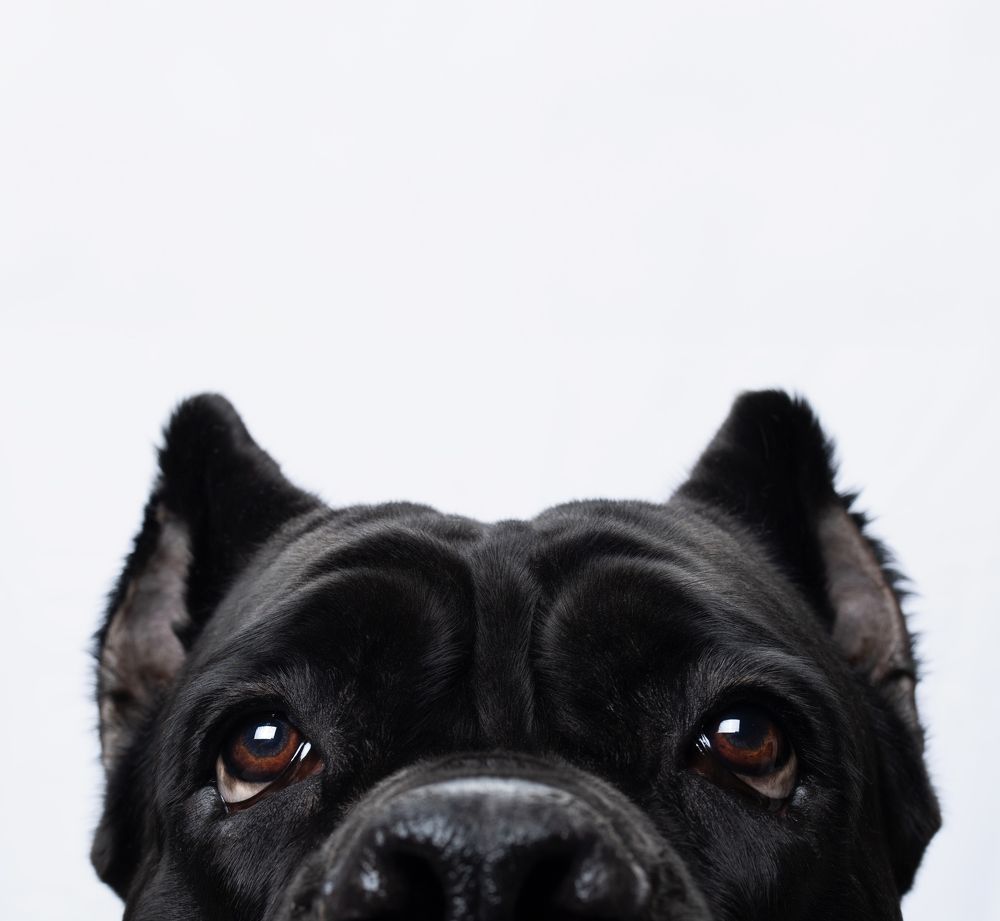 Photograph by Николай Вихтинский