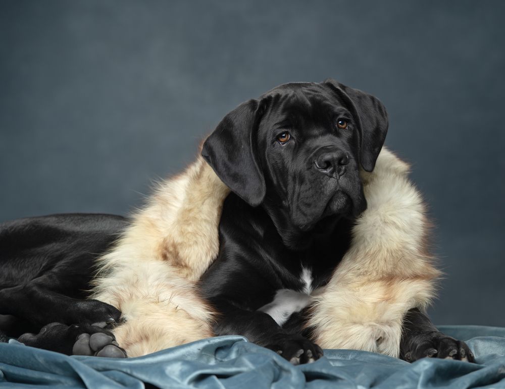 Photograph by Николай Вихтинский