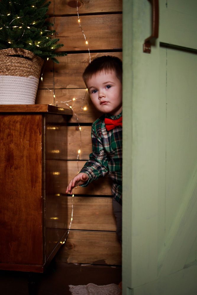 Фотография автора Анна Хейфиц