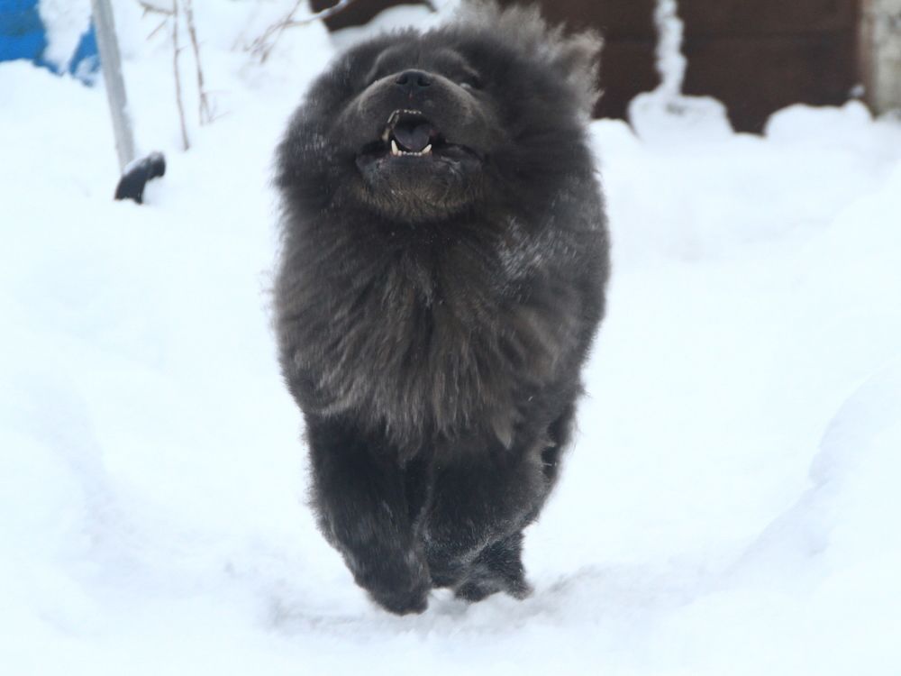 Фотография автора Анастасия Зверева